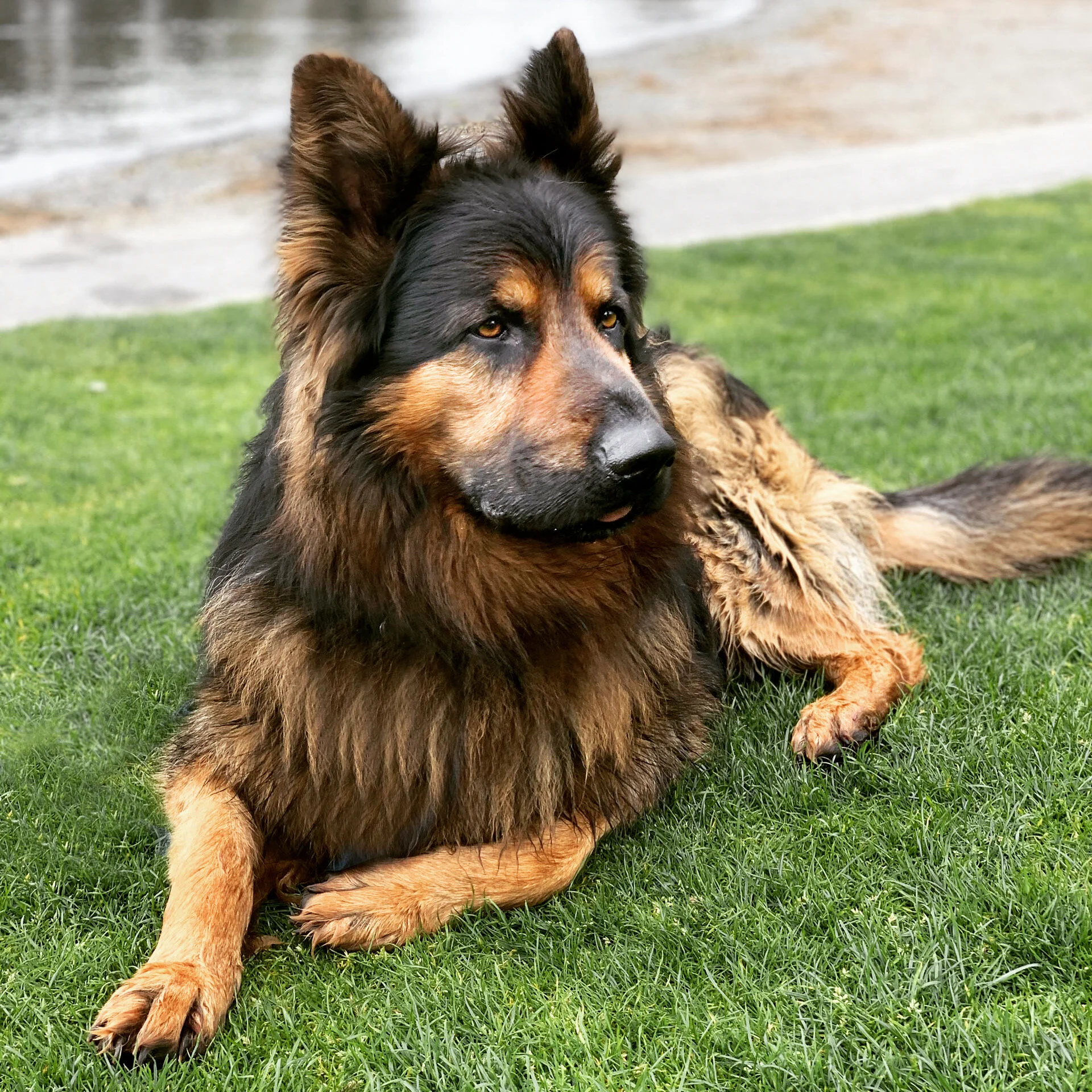 5DBFC3F6-457B-4613-861B-DE96475491D0 2.JPG