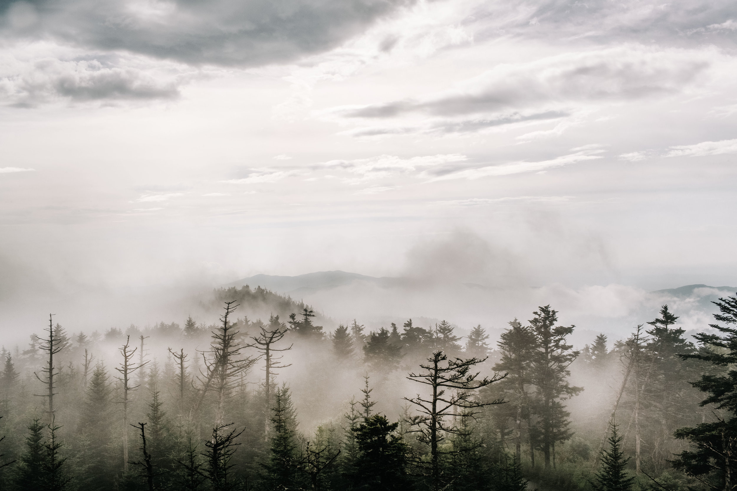 Tennessee