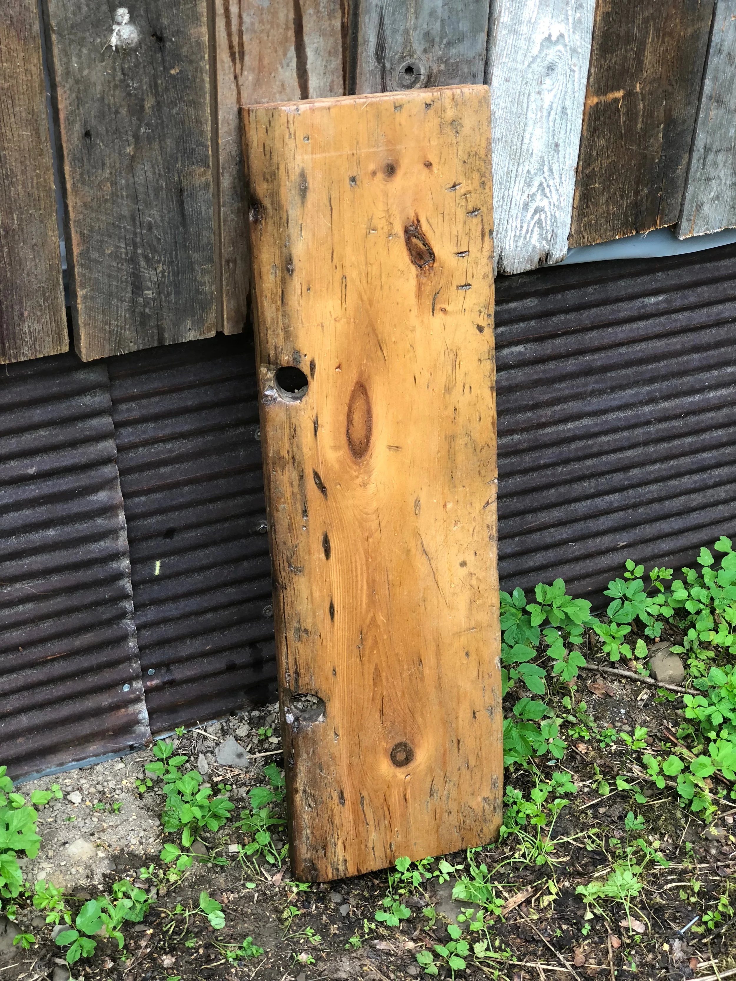 Spalted Ash Slab Wood