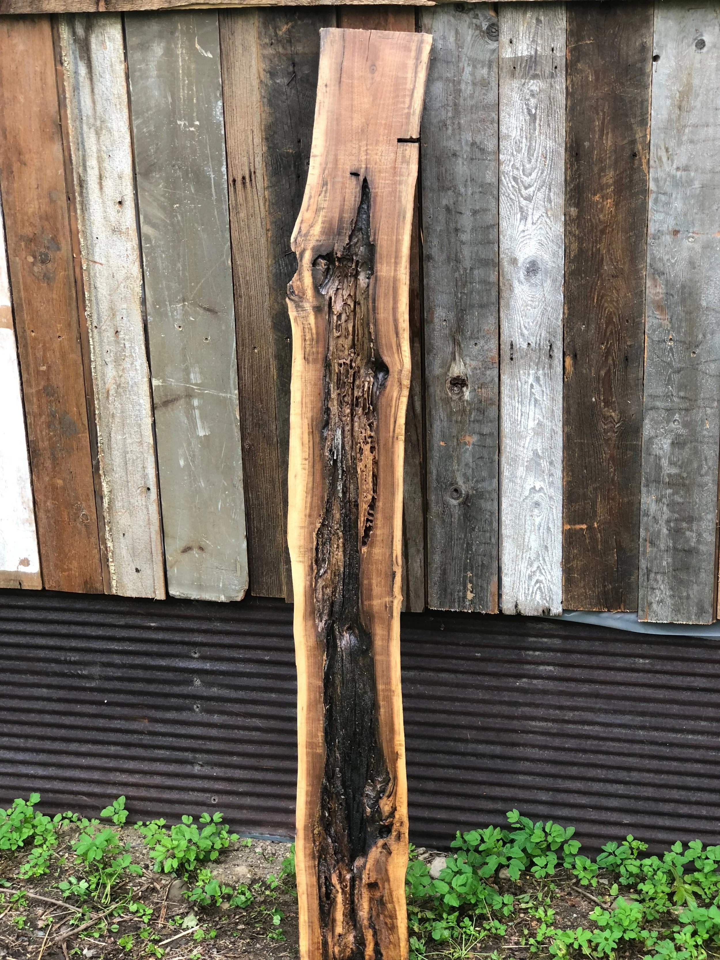 Black Walnut Accent Piece