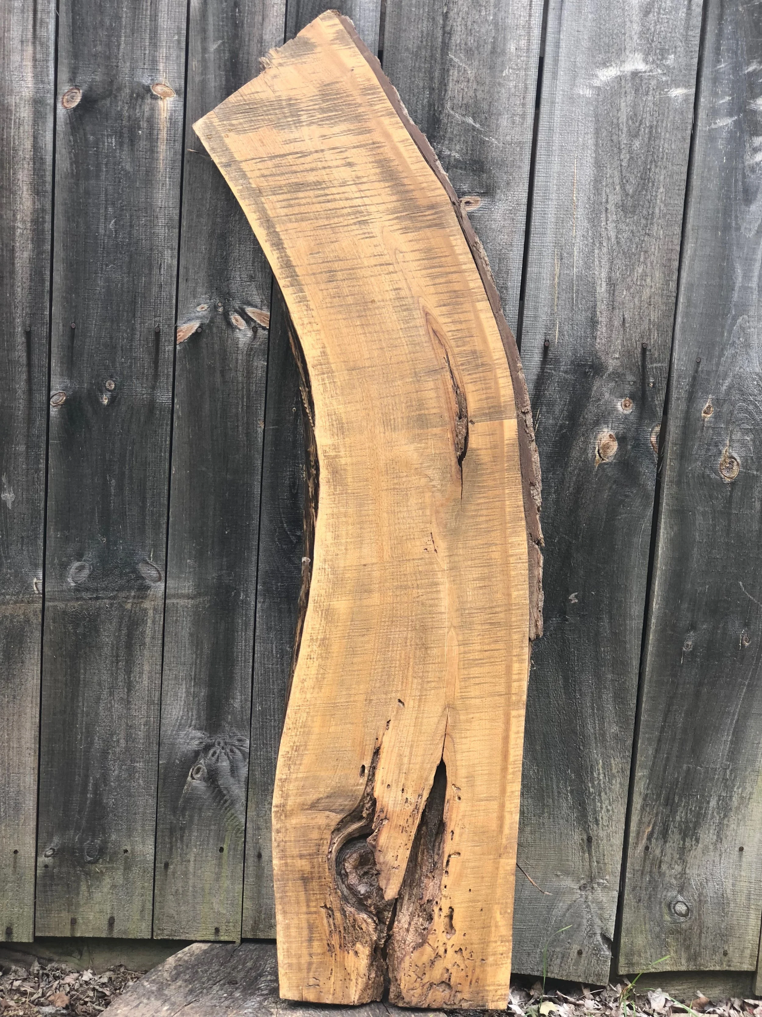 Black Walnut Shelf/Bar Top