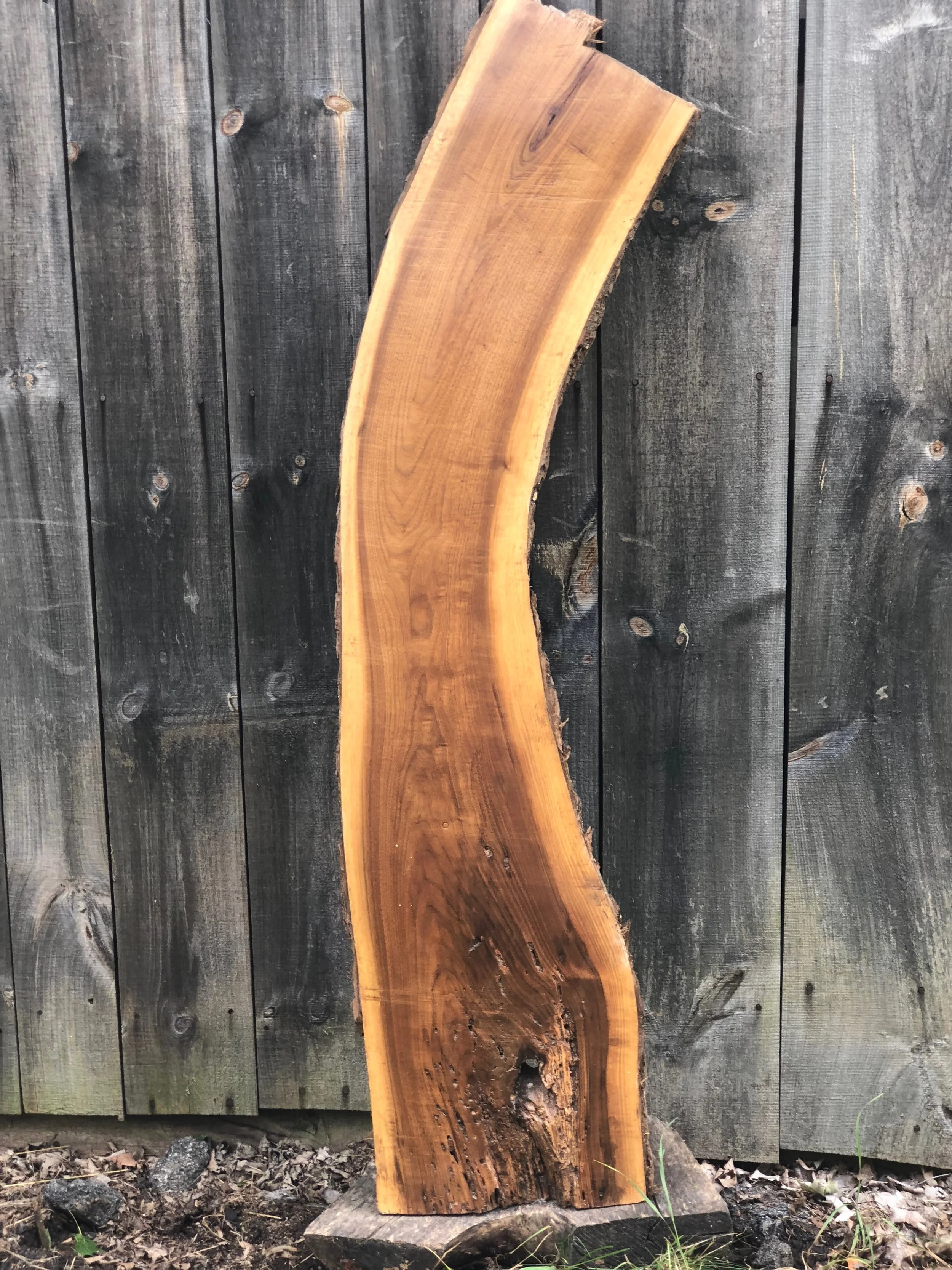 Black Walnut Shelf/Bar Top/Accent Piece