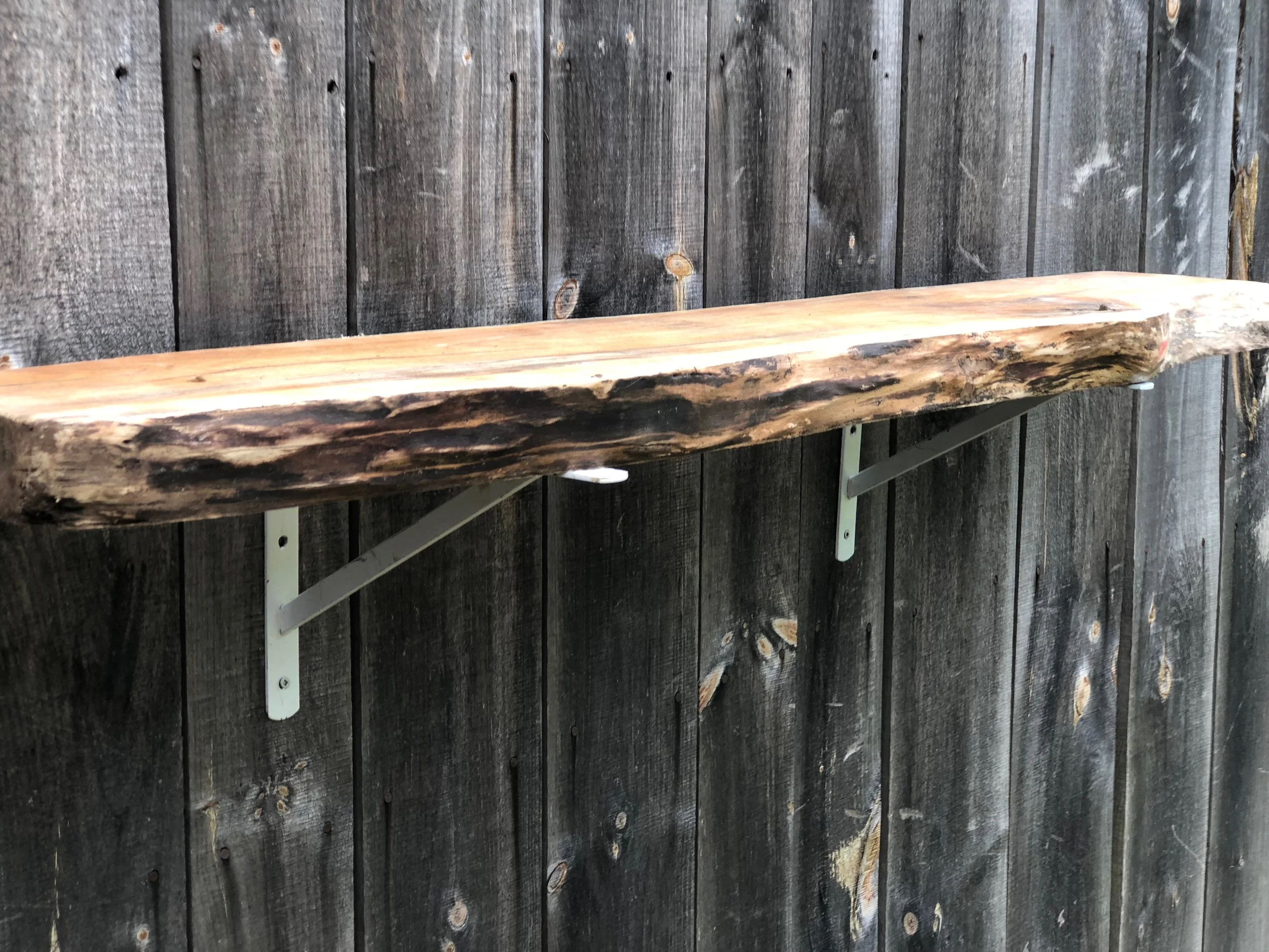 Black Walnut Shelf