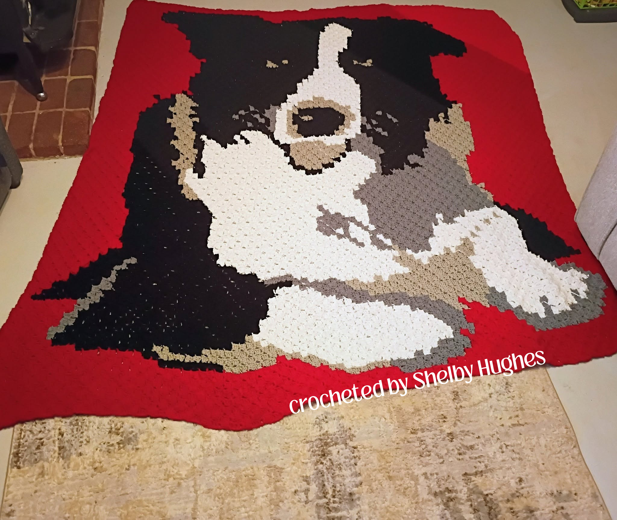 Border Collie Afghan, C2C Crochet Pattern