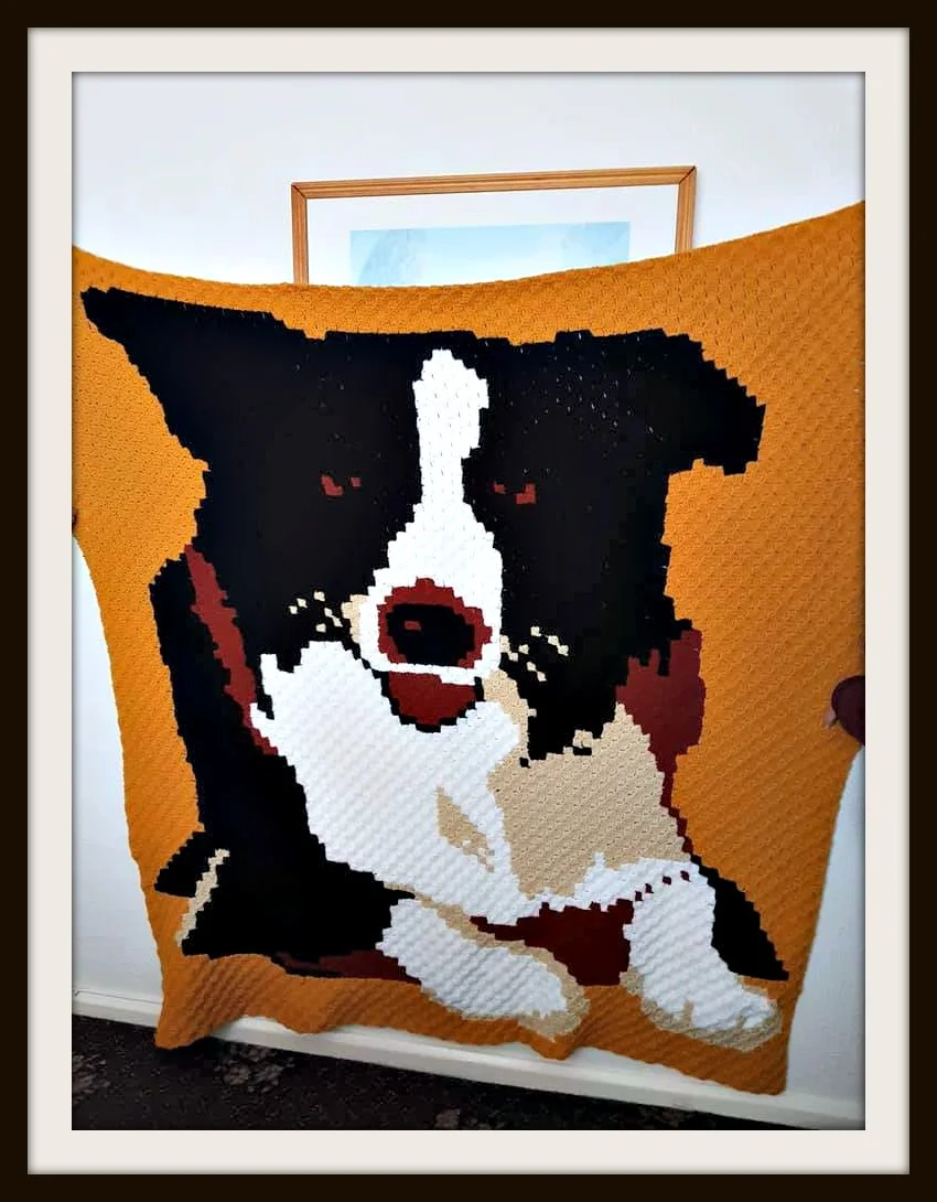 Border Collie Afghan, C2C Crochet Pattern