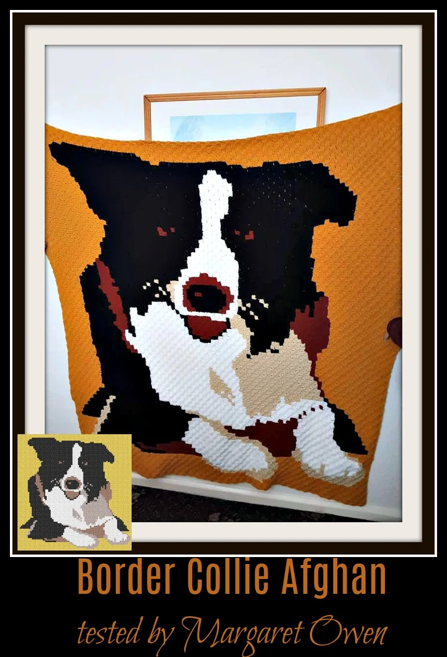 Border Collie Afghan, C2C Crochet Pattern