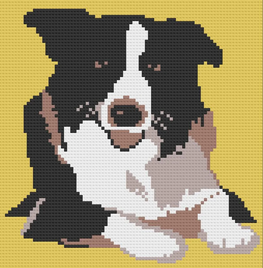 Border Collie Afghan, C2C Crochet Pattern