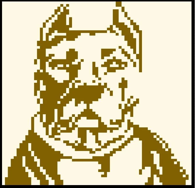 Pitbull Afghan C2C Graph