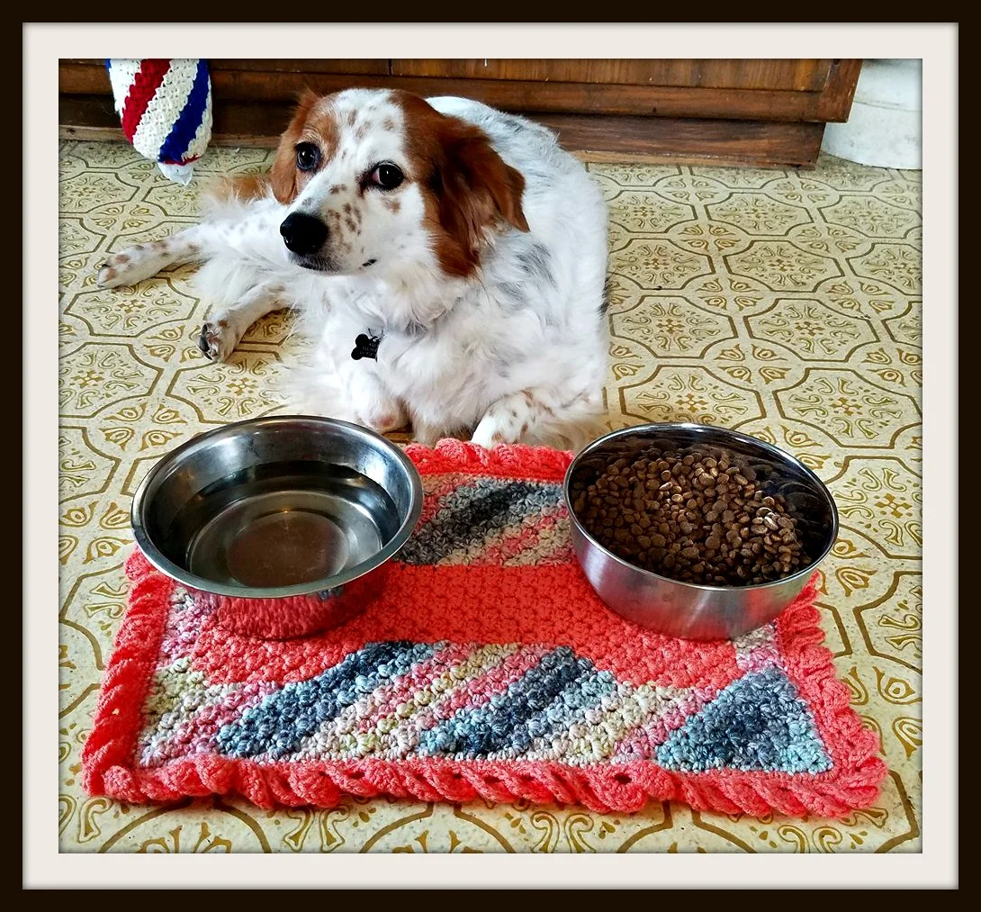Dog Dish Mat C2C Crochet Pattern