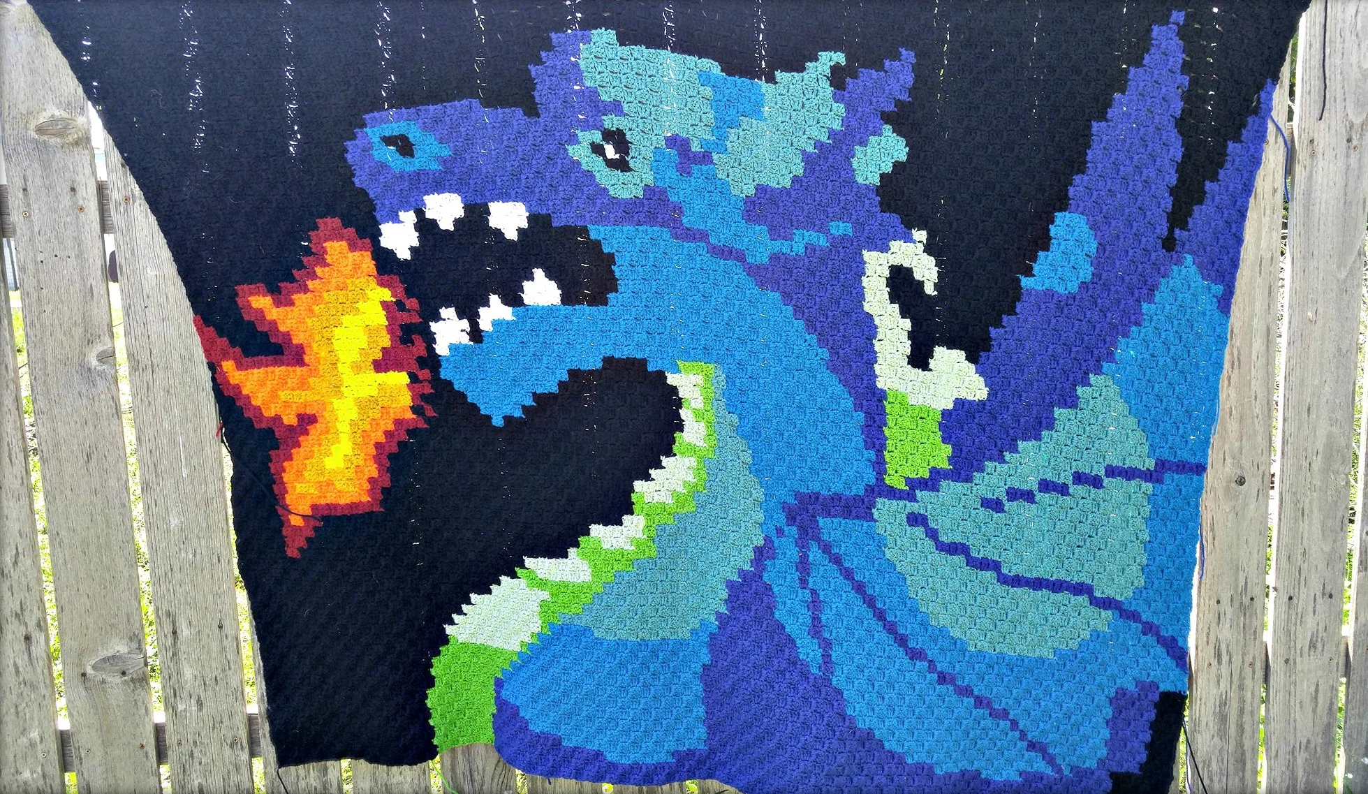 Dragon Afghan, C2C Crochet Pattern