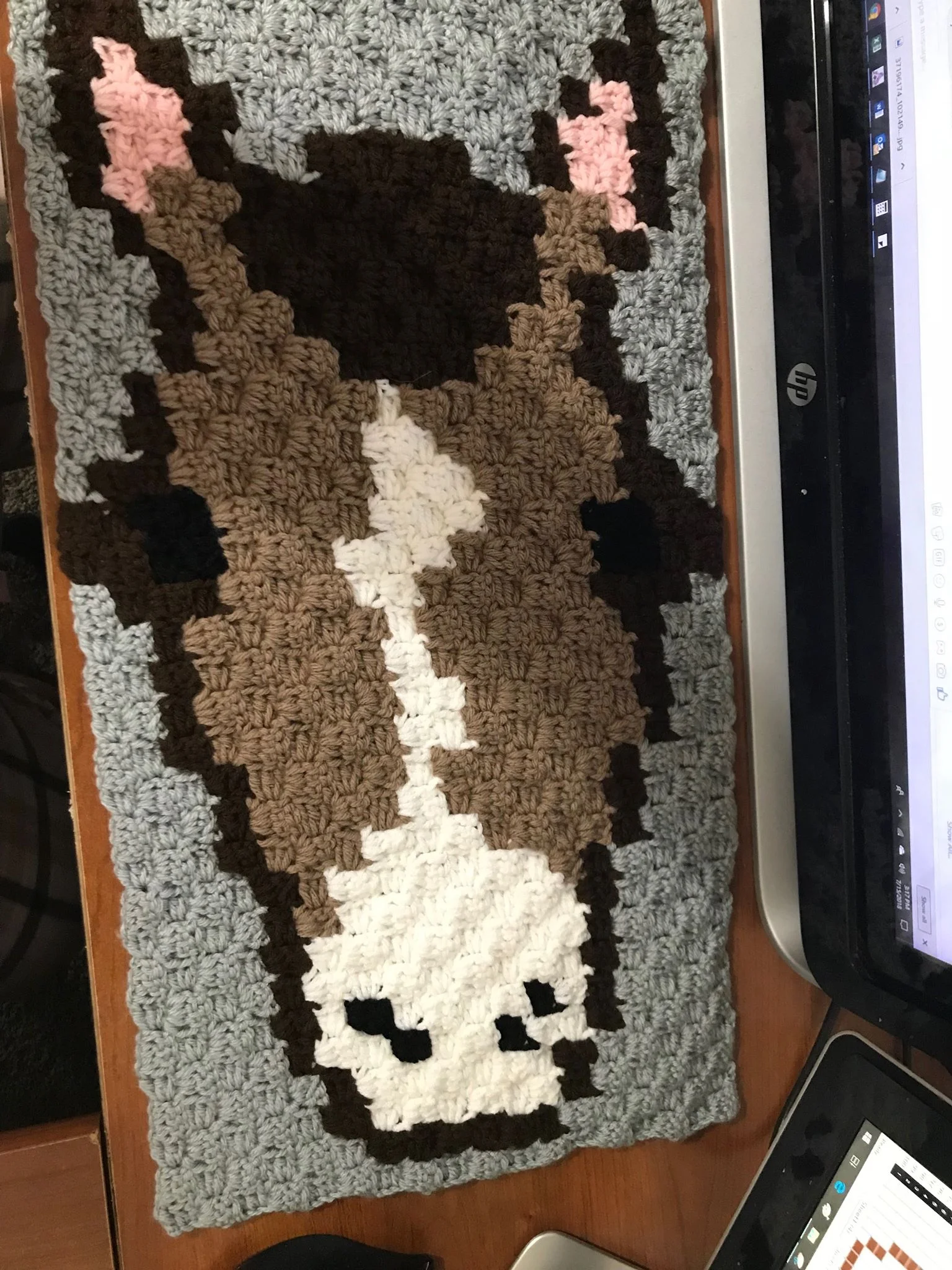 Horse Scarf C2C Crochet Pattern