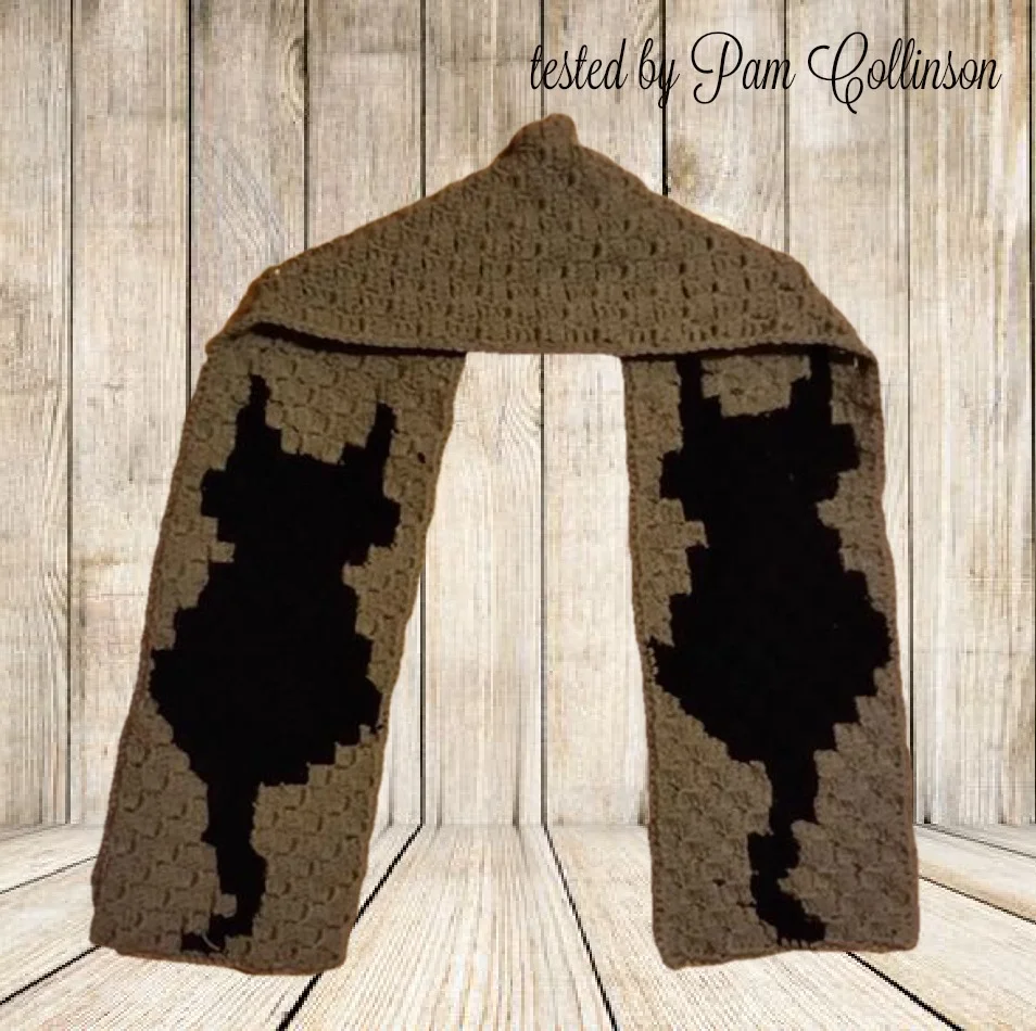 Cat Scarf, C2C Crochet Pattern