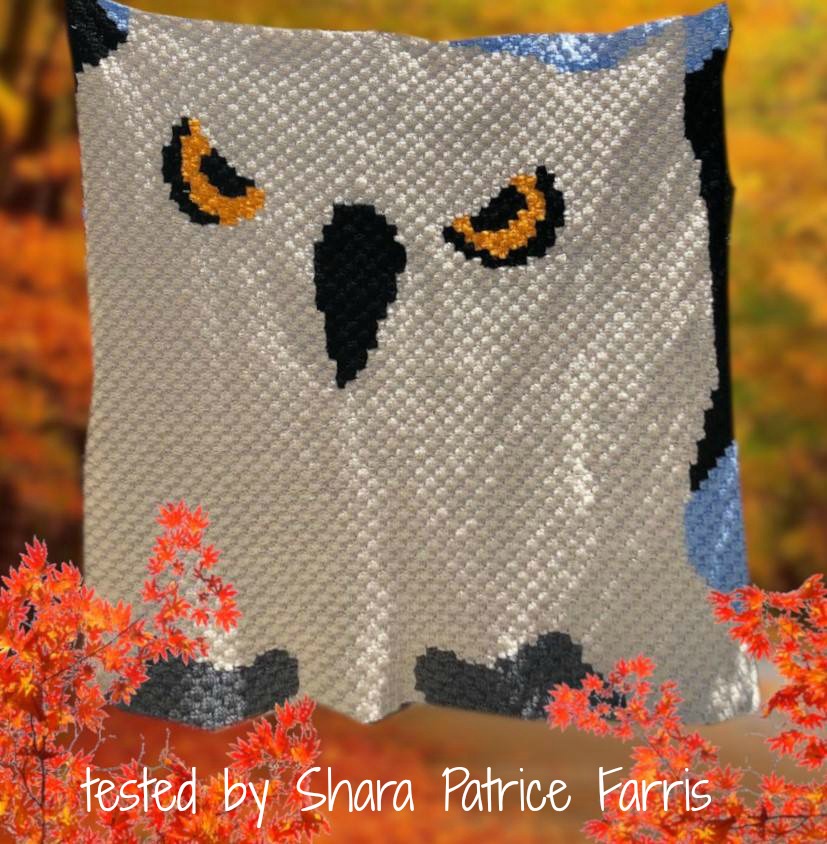 Big Owl Afghan, C2C Crochet Pattern