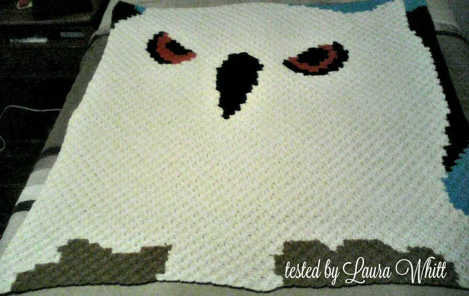 Big Owl Afghan, C2C Crochet Pattern