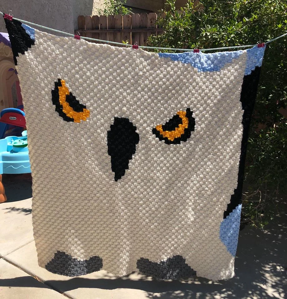 Big Owl Afghan, C2C Crochet Pattern