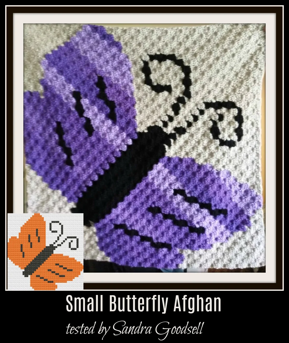 Butterfly Small Afghan, C2C Crochet Pattern