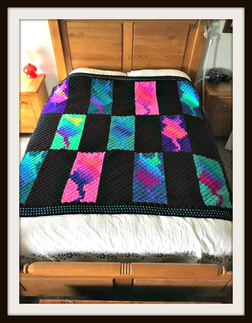 Cat Squares in Color Afghan, C2C Crochet Pattern