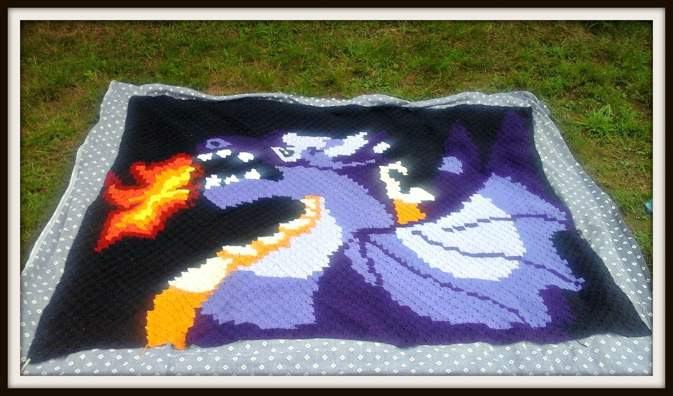 Dragon Afghan, C2C Crochet Pattern