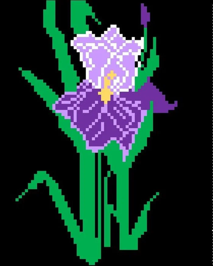 Iris Afghan, C2C Crochet Pattern