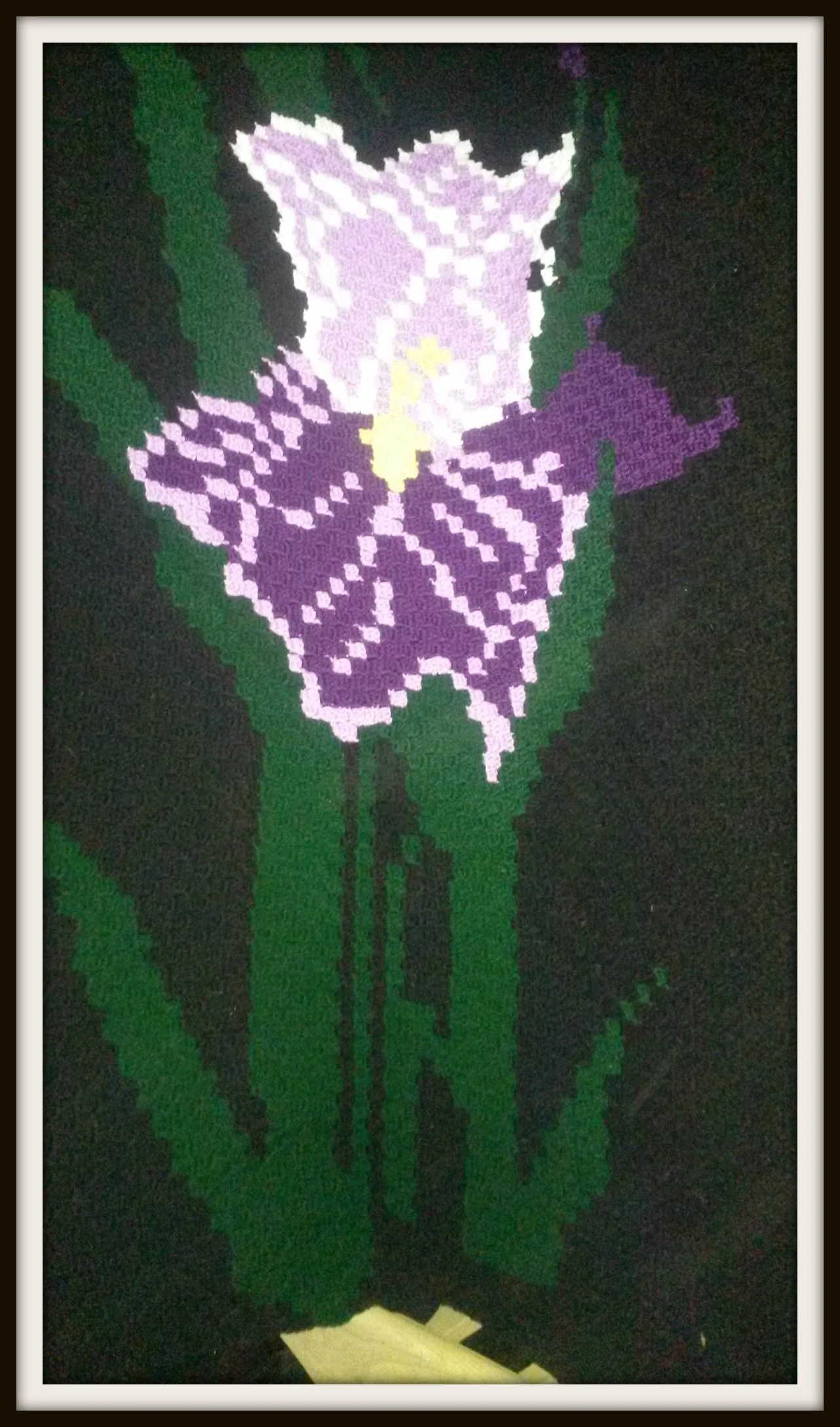 Iris Afghan, C2C Crochet Pattern