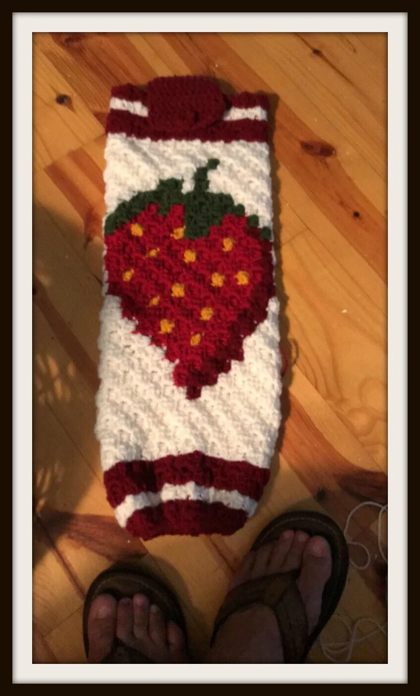 Strawberry Grocery Bag Holder, C2C Crochet Pattern
