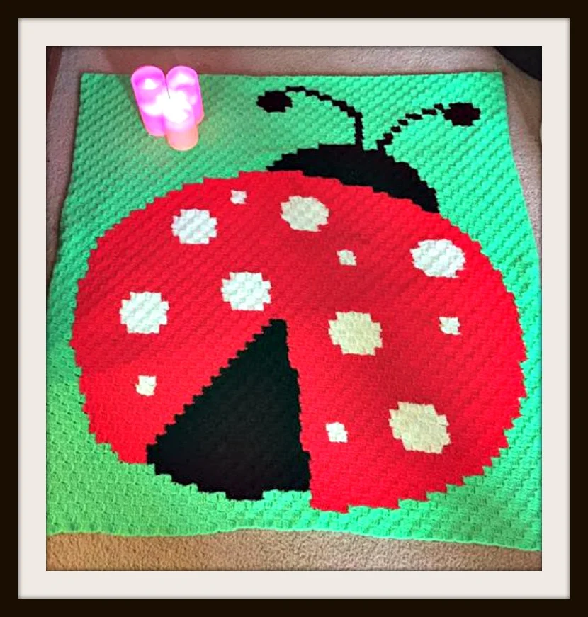 Ladybug Baby Afghan, C2C Crochet Pattern