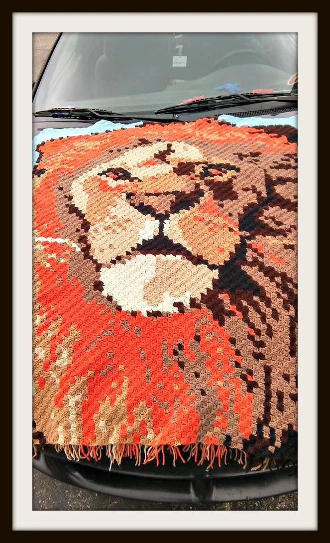 Lion Afghan, C2C Crochet Pattern