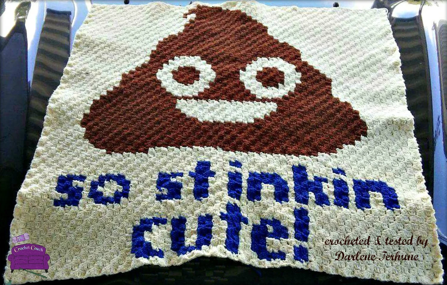 Stinkin Cute Baby Afghan, C2C Crochet Pattern