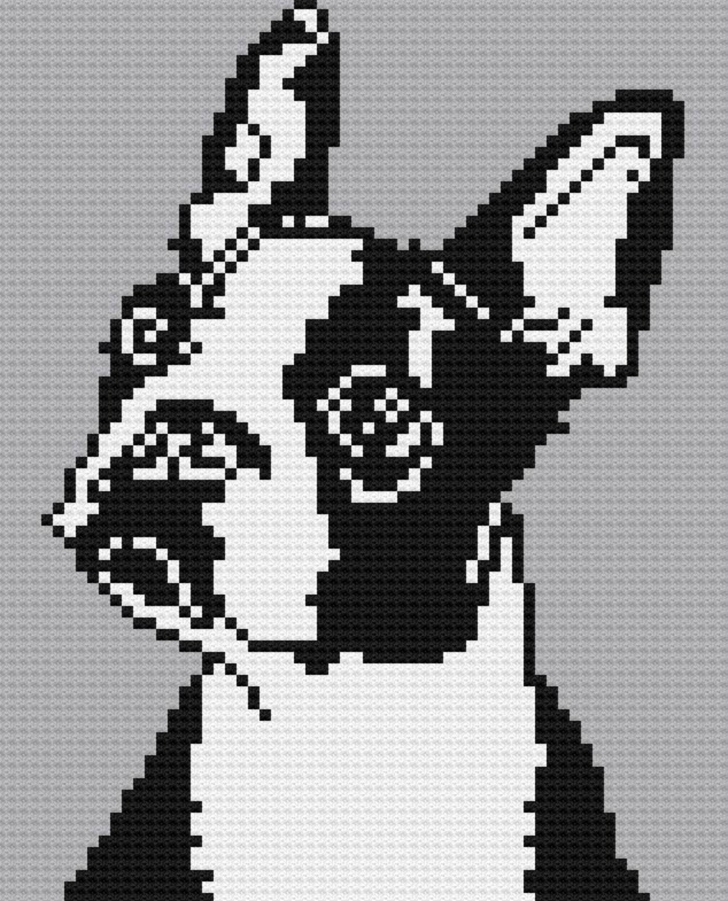 Boston Terrier Afghan, C2C Crochet Pattern