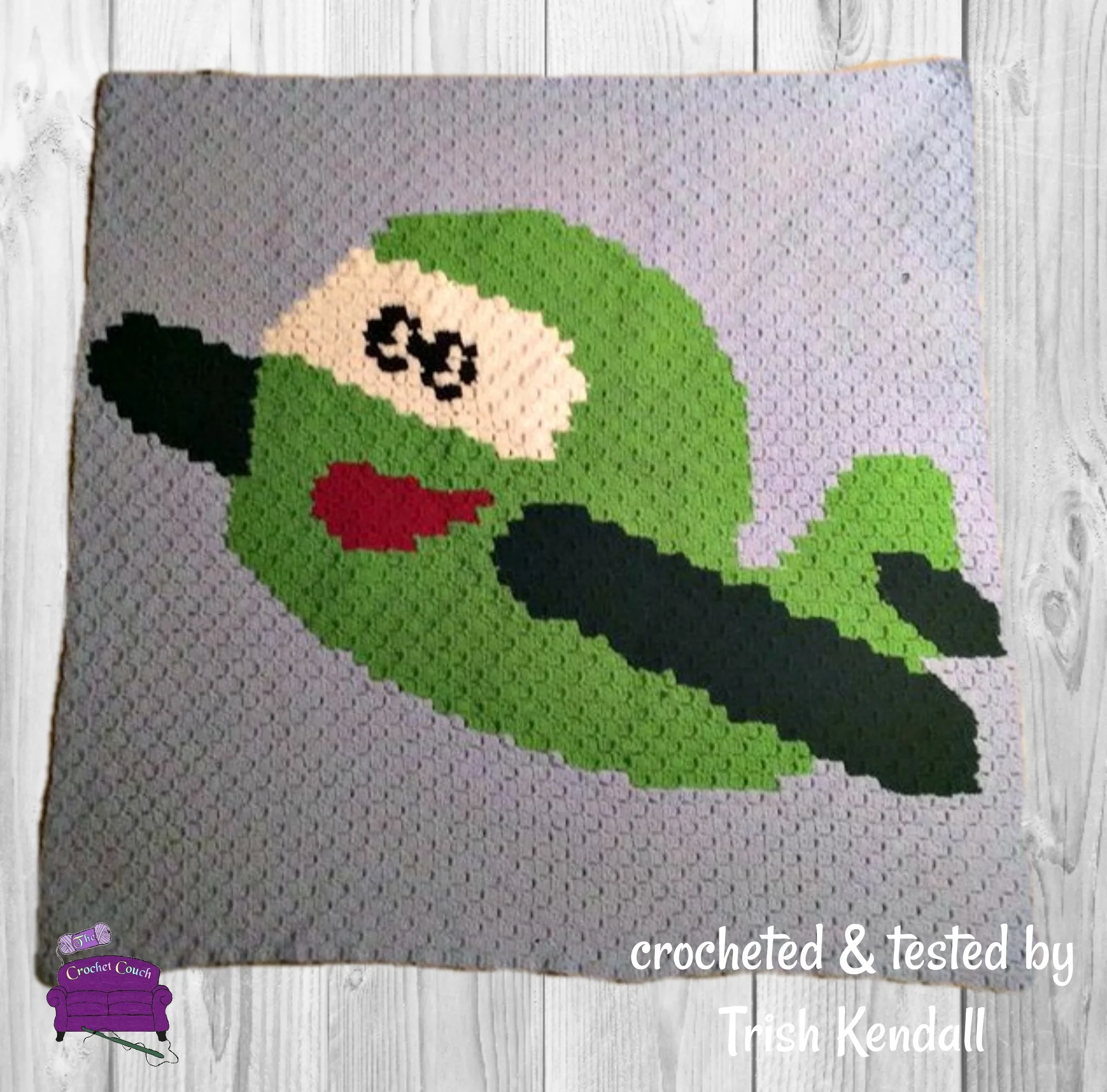 Airplane Kids Afghan, C2C Crochet Pattern