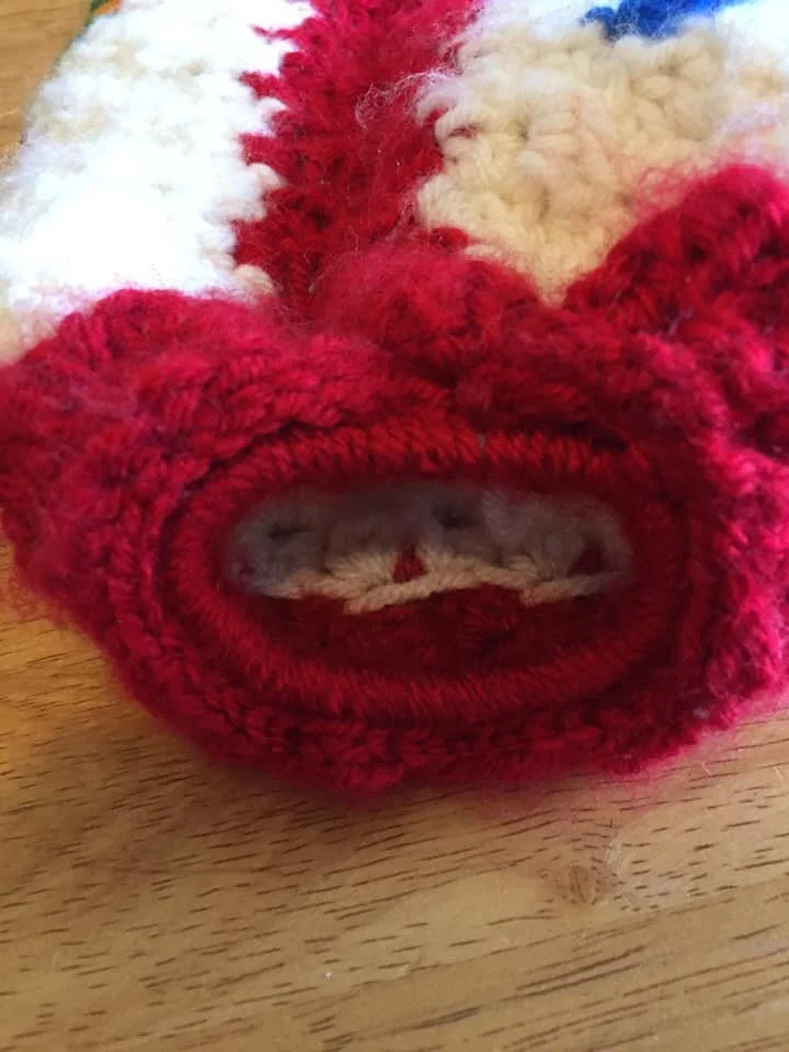 Rooster Grocery Bag Holder, C2C Crochet Pattern