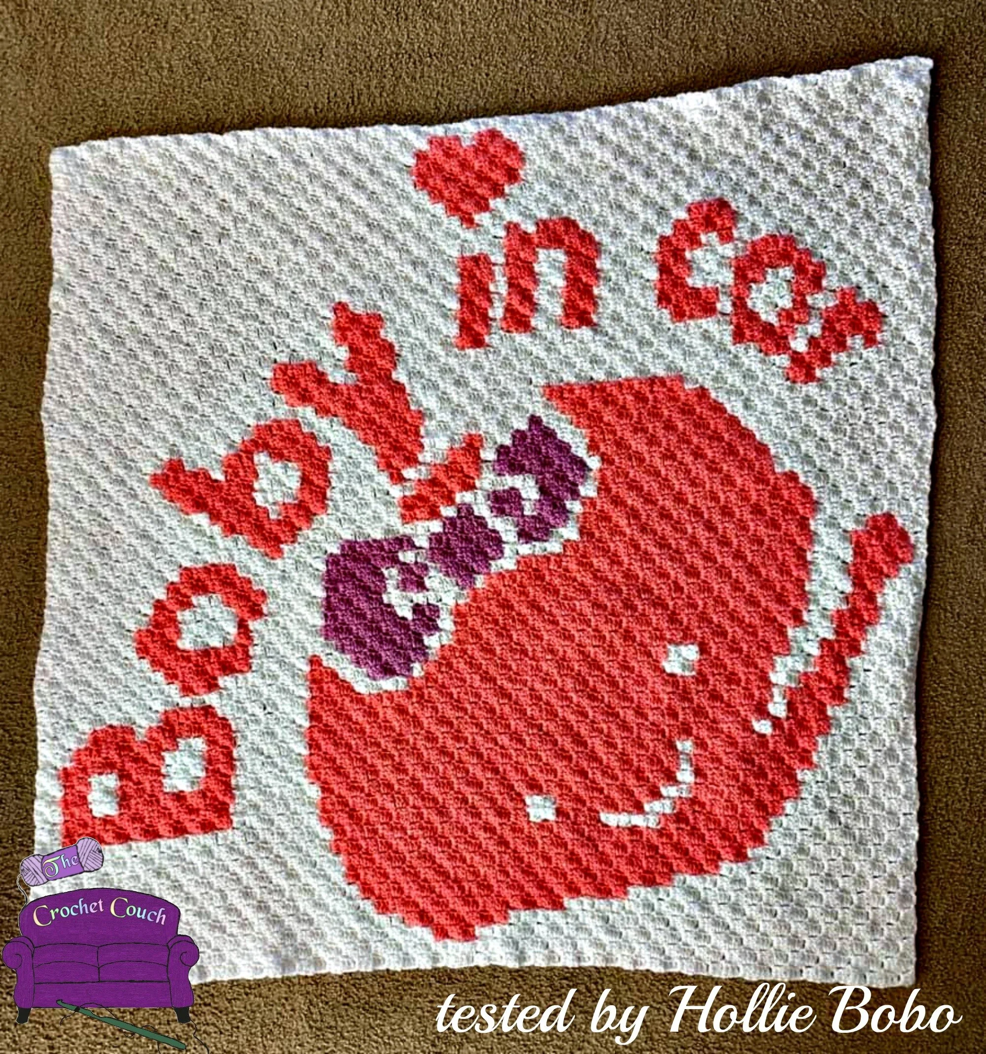Baby in Car Afghan, C2C Crochet Pattern