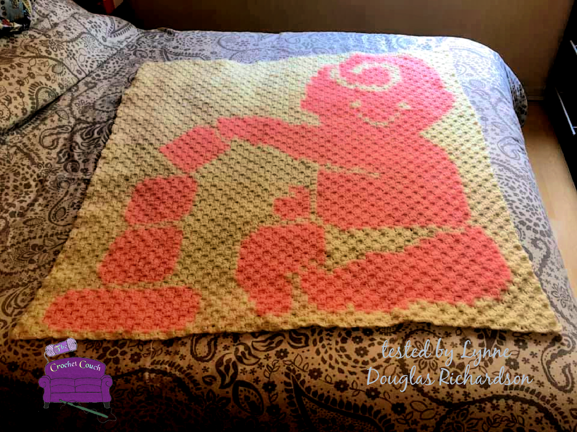 Baby with Blocks Afghan, C2C Crochet Pattern