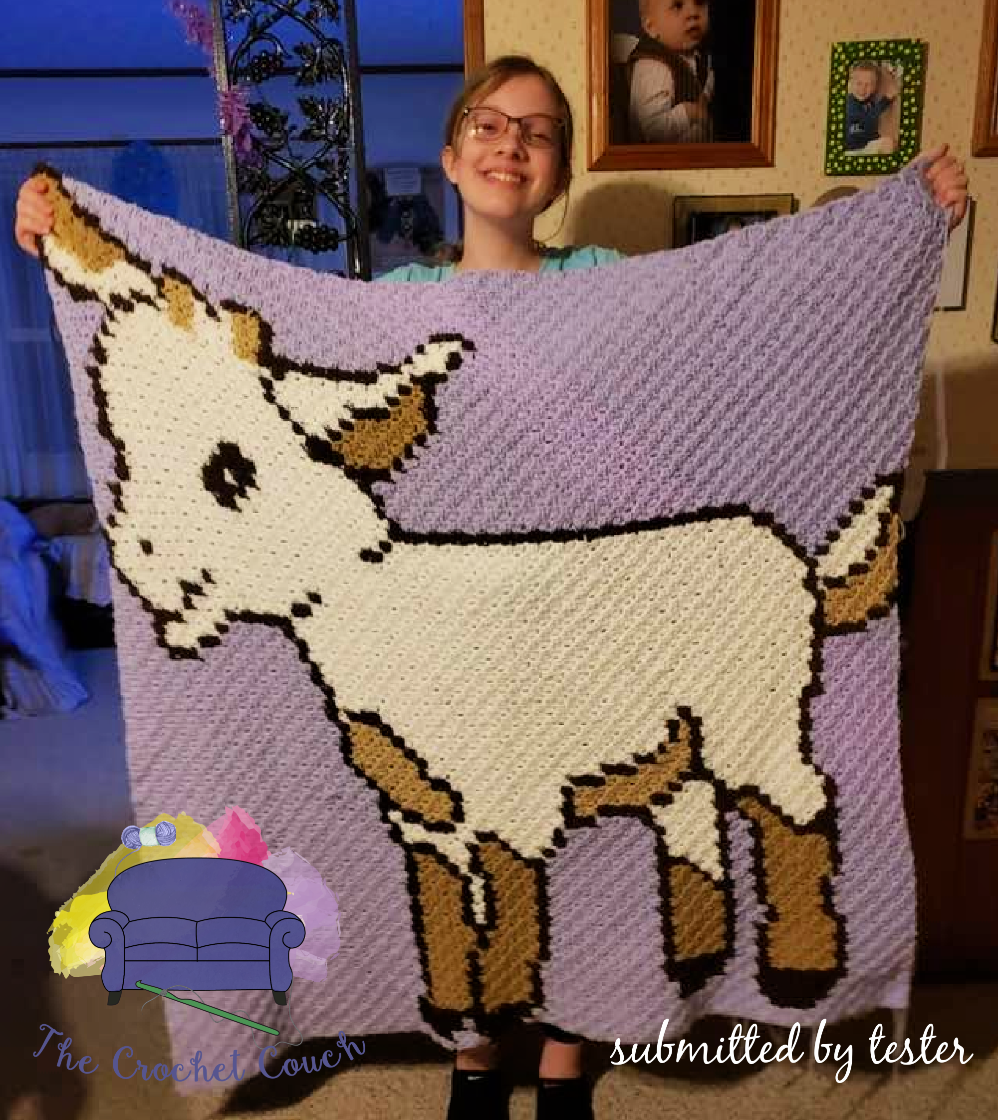 Kid Afghan, Baby Goat Afghan, C2C Crochet Pattern