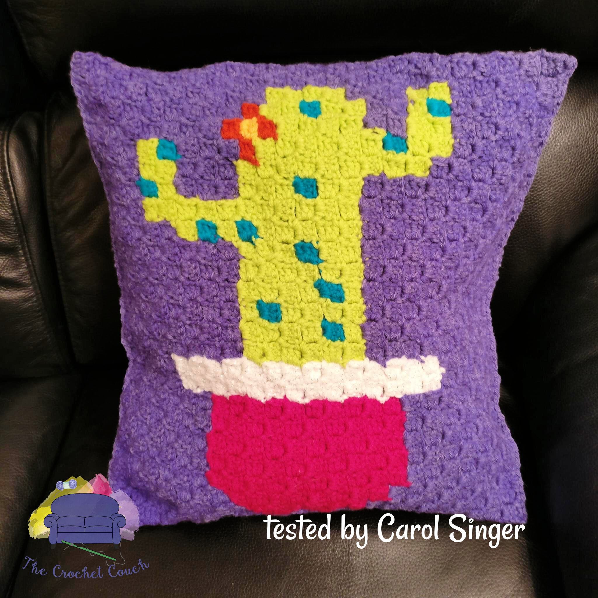 Cactus Pillow, C2C Crochet Pattern