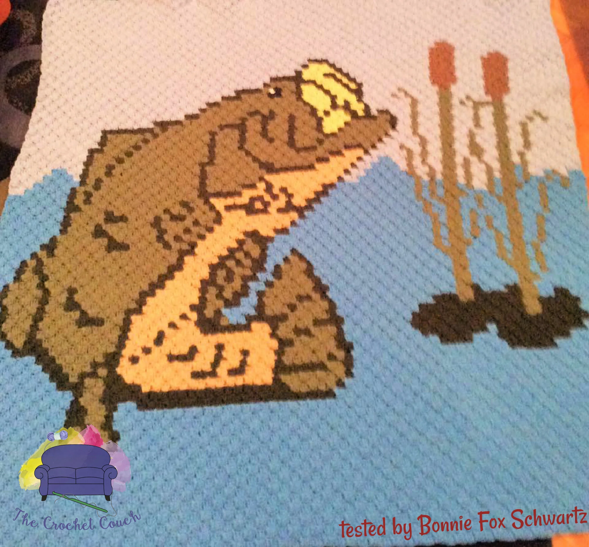 Fish in Lake Afghan, C2C Crochet Pattern