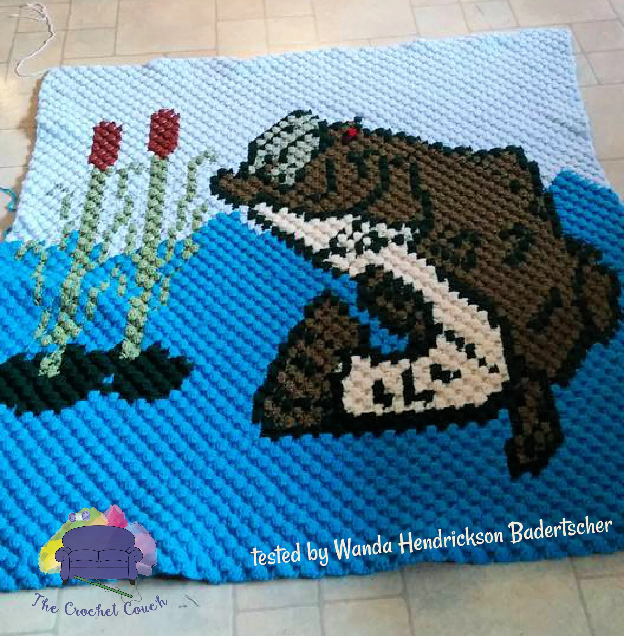 Fish in Lake Afghan, C2C Crochet Pattern