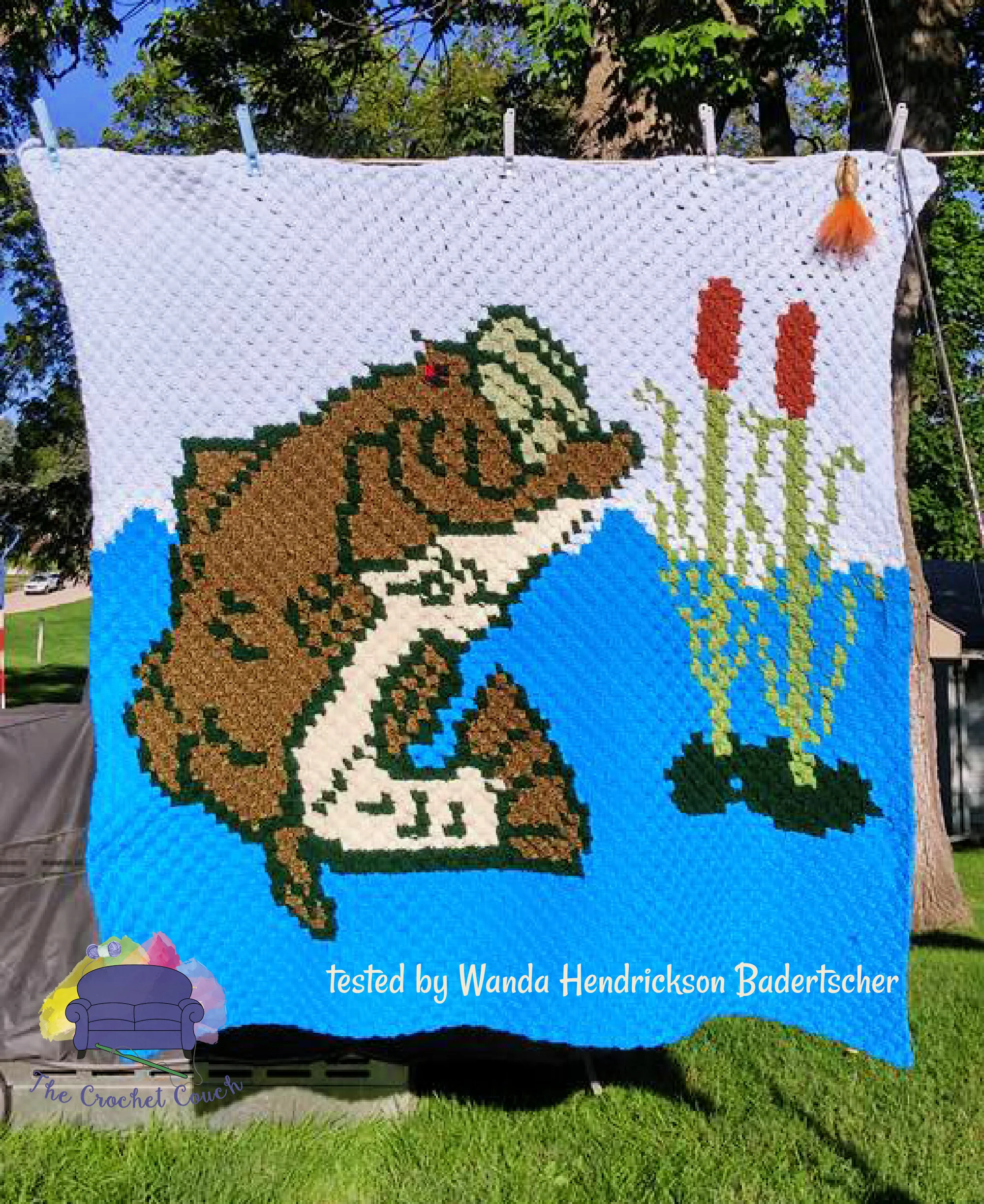 Fish in Lake Afghan, C2C Crochet Pattern