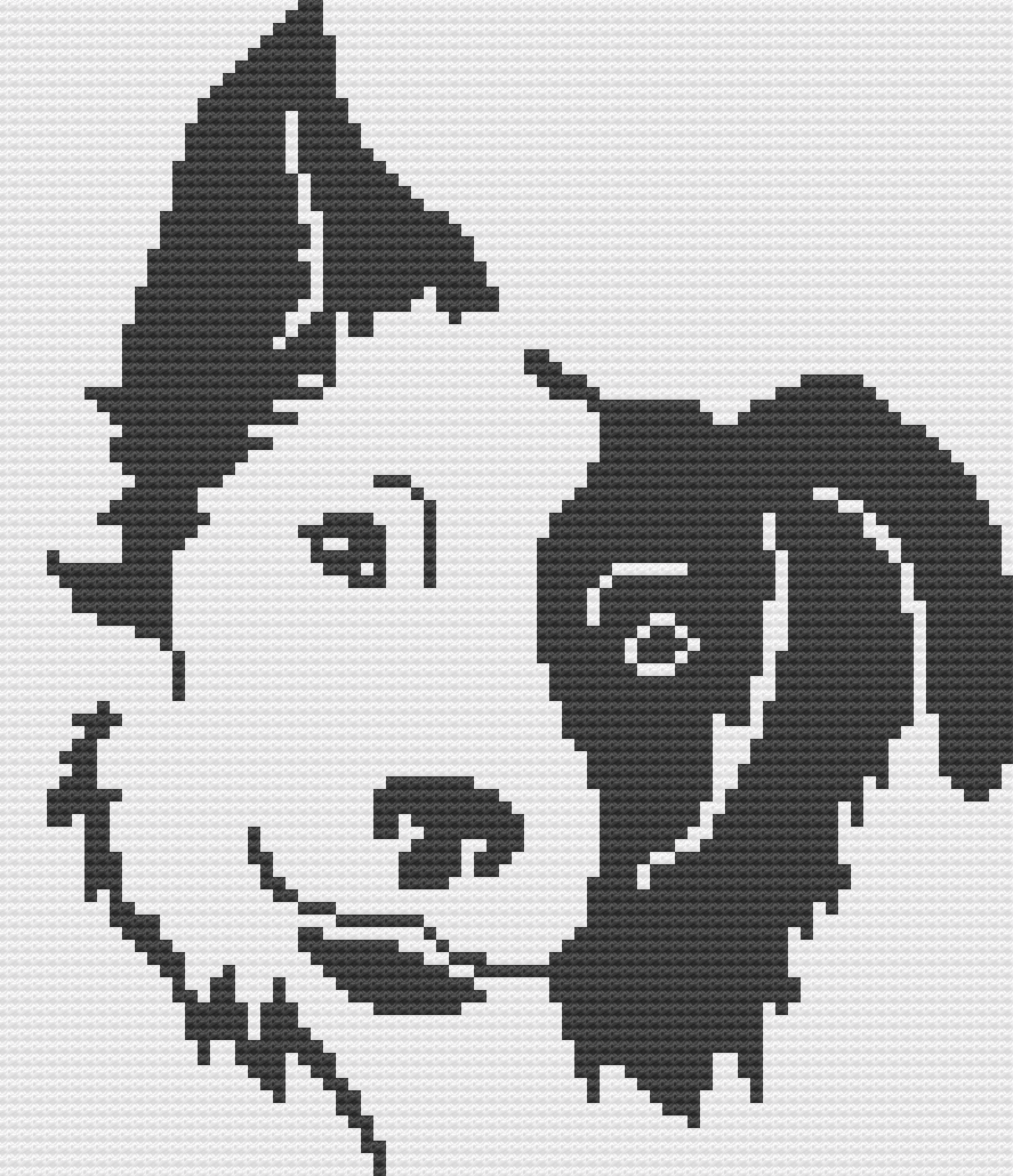 Border Collie Afghan, C2C Crochet Pattern