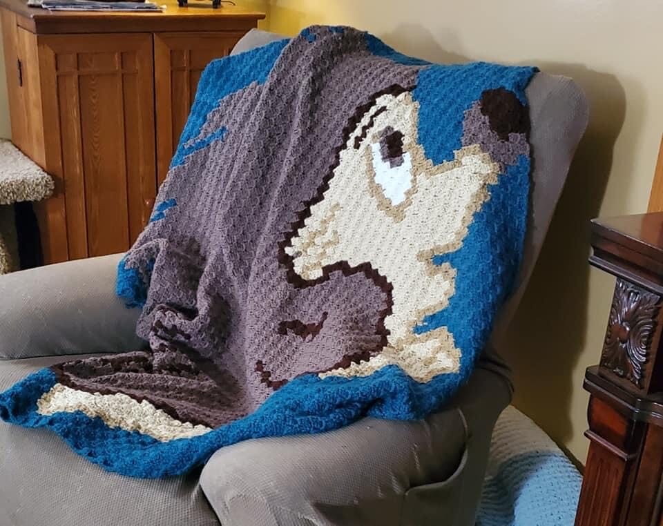 Hedgehog #2 Afghan, C2C Crochet Pattern