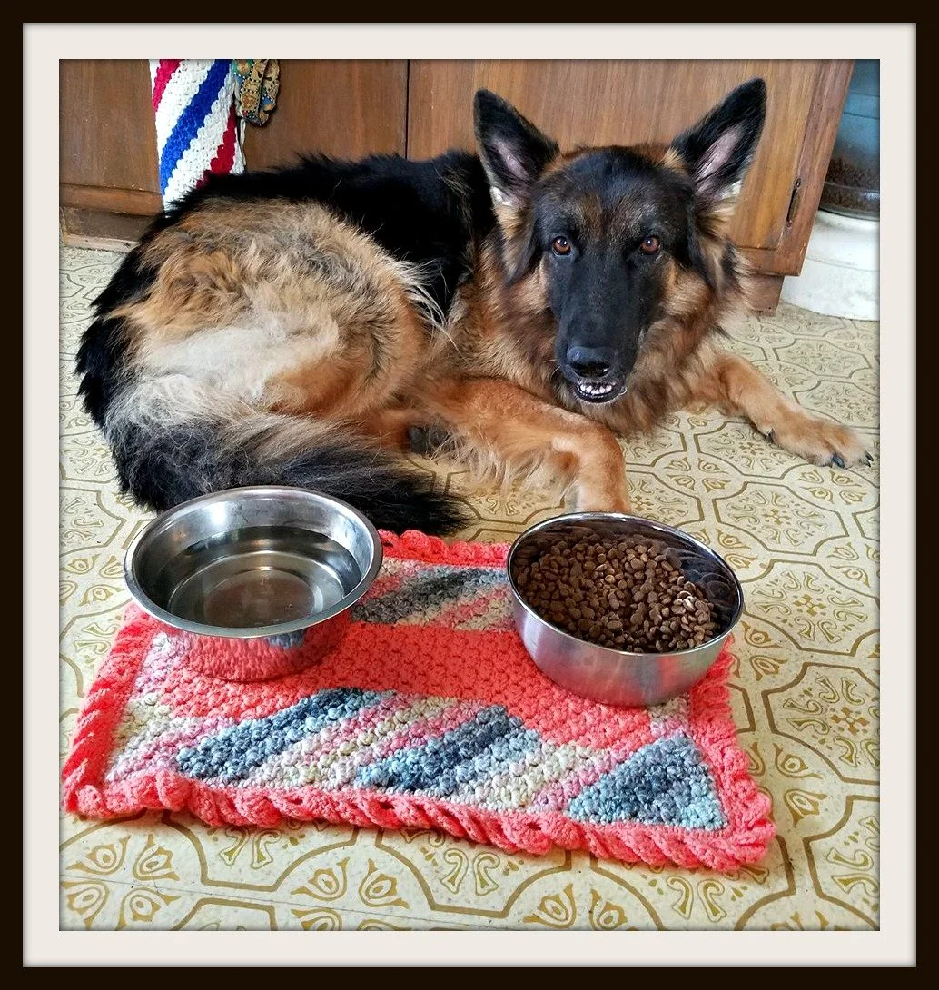 Dog and Cat Dish Placemats, C2C Crochet Patterns