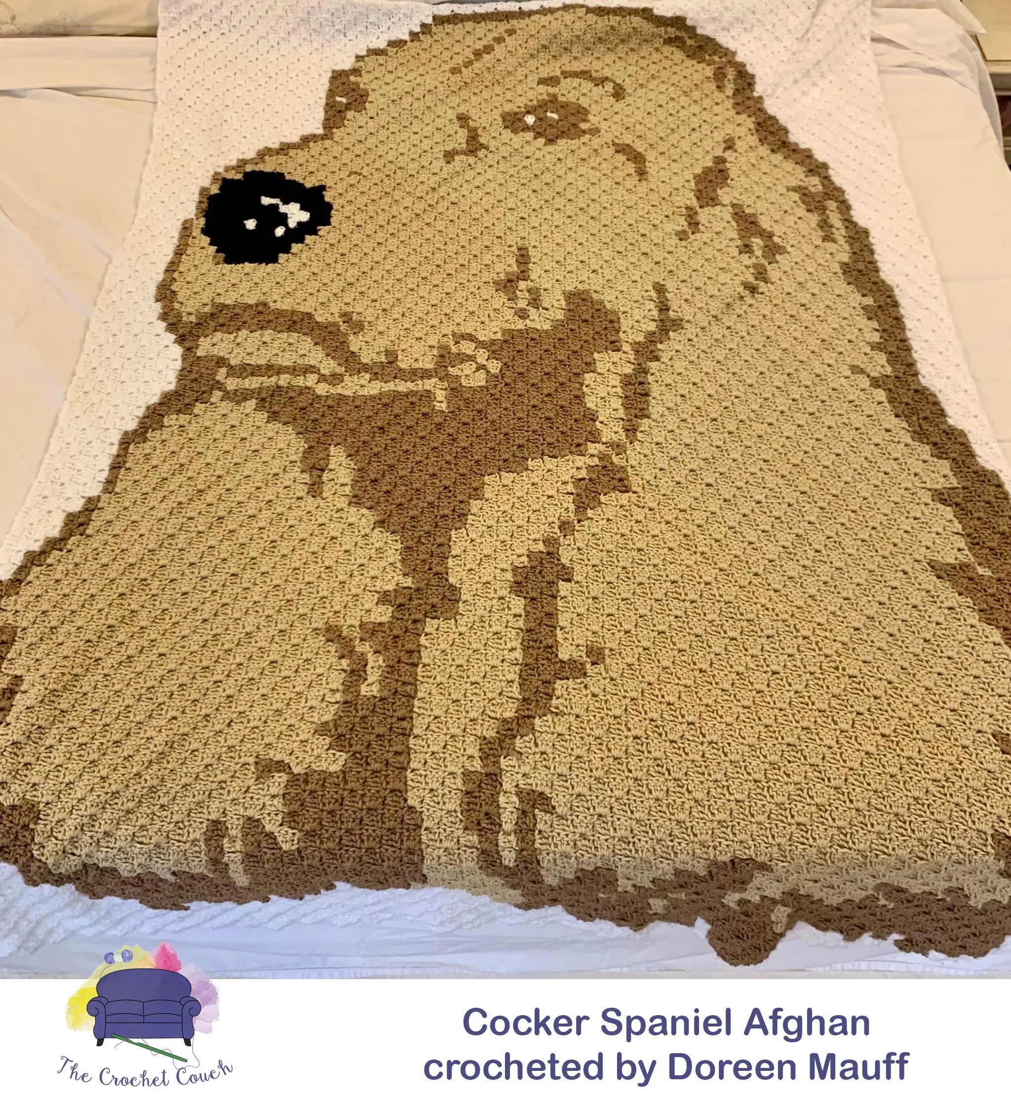 Cocker Spaniel Afghan, C2C Graph, Written Word Chart