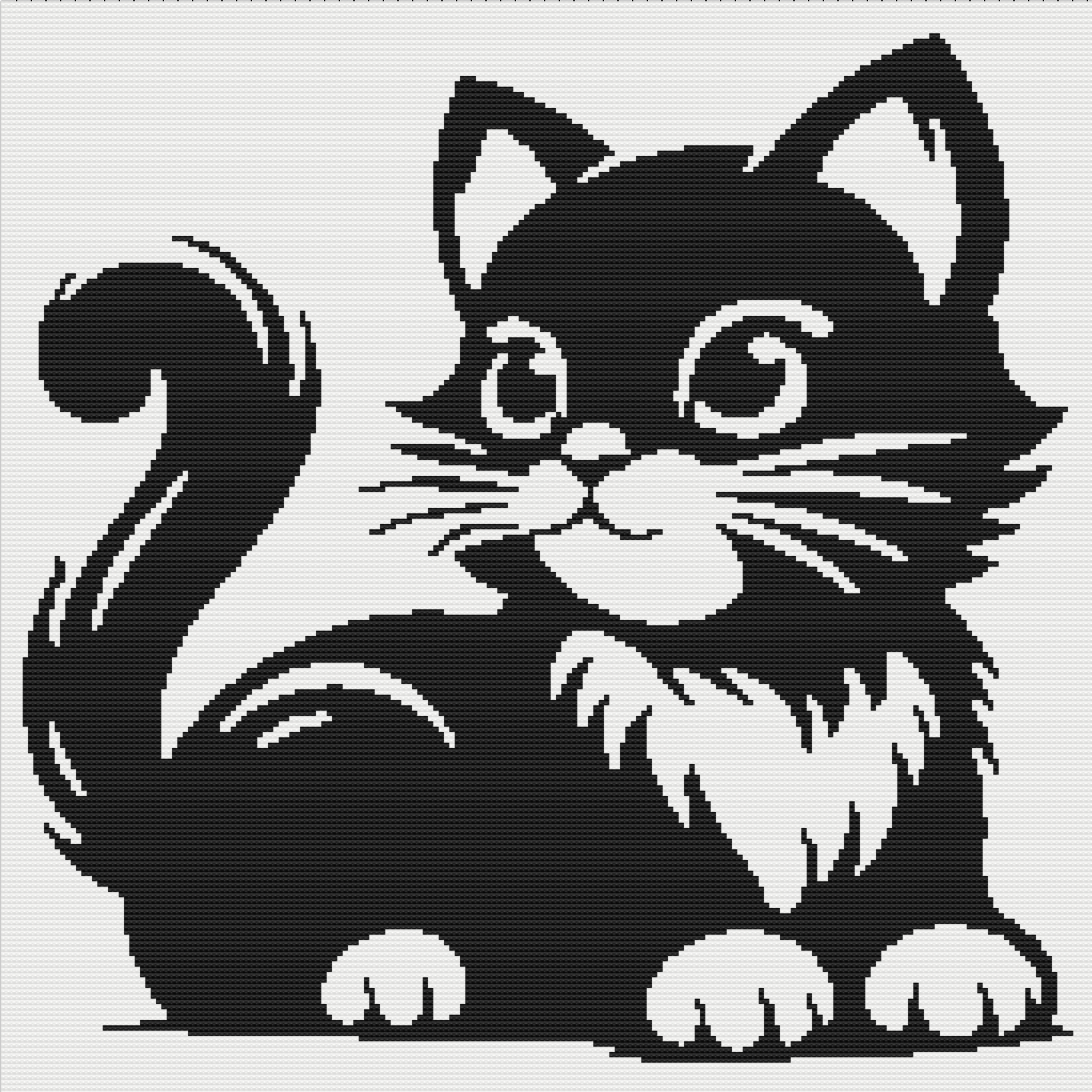 black and white kitty cat graphic