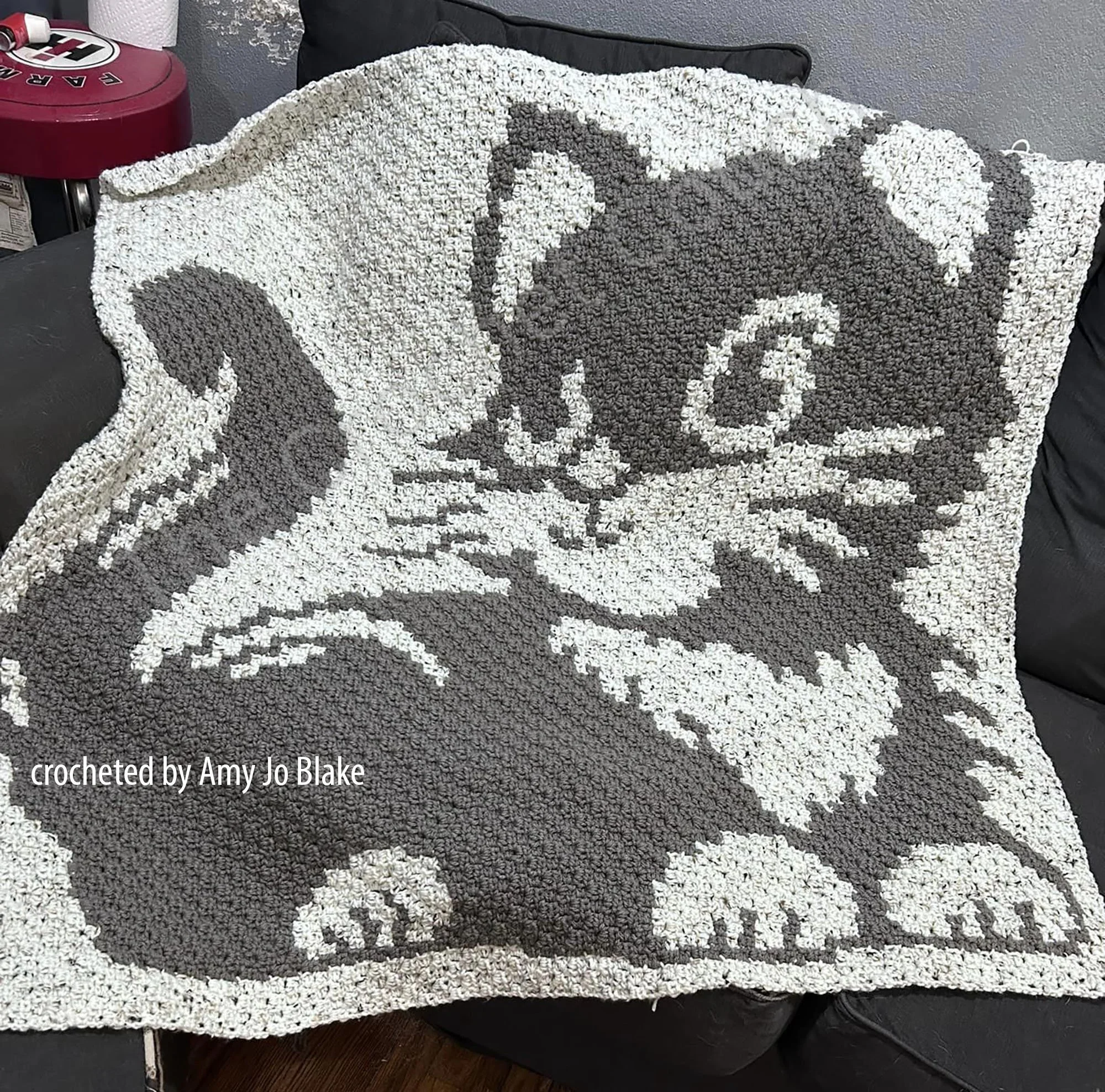 ps from Amy Jo blake copy.jpg