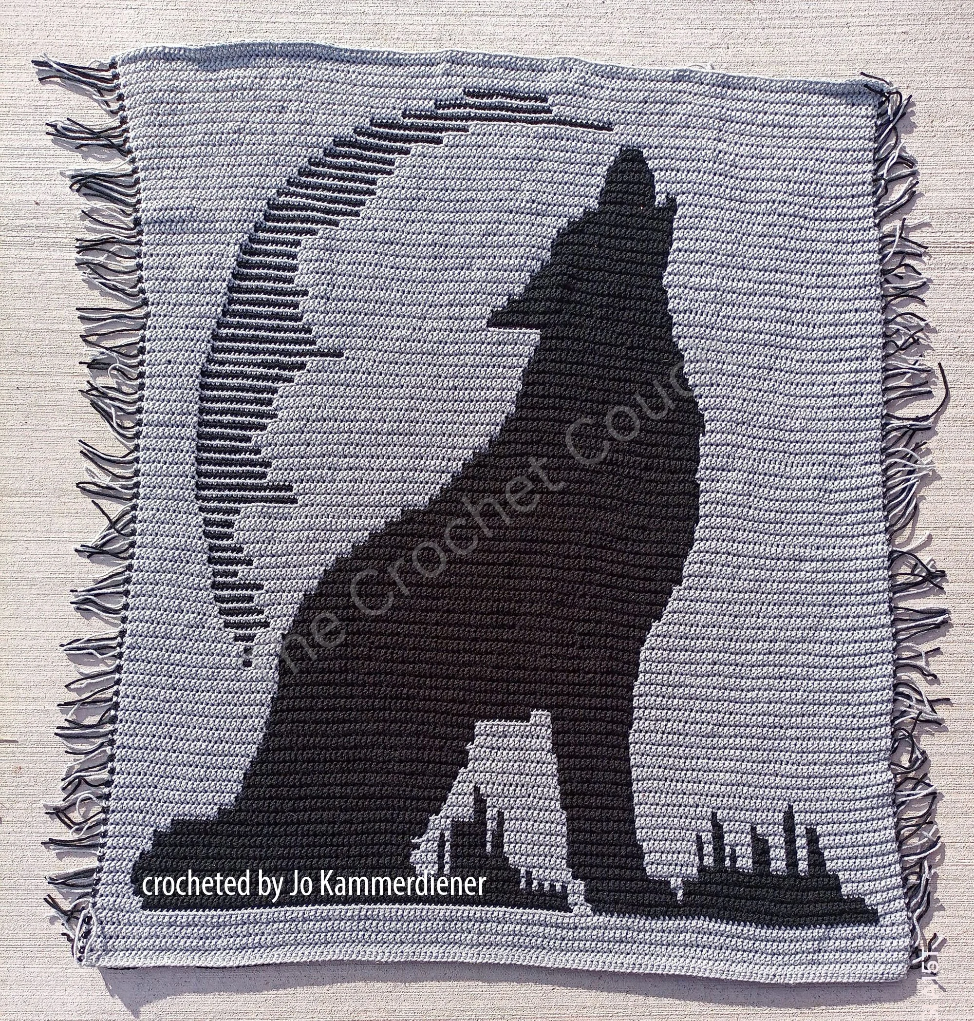 ps from Jo Kammerdiener copy.jpg