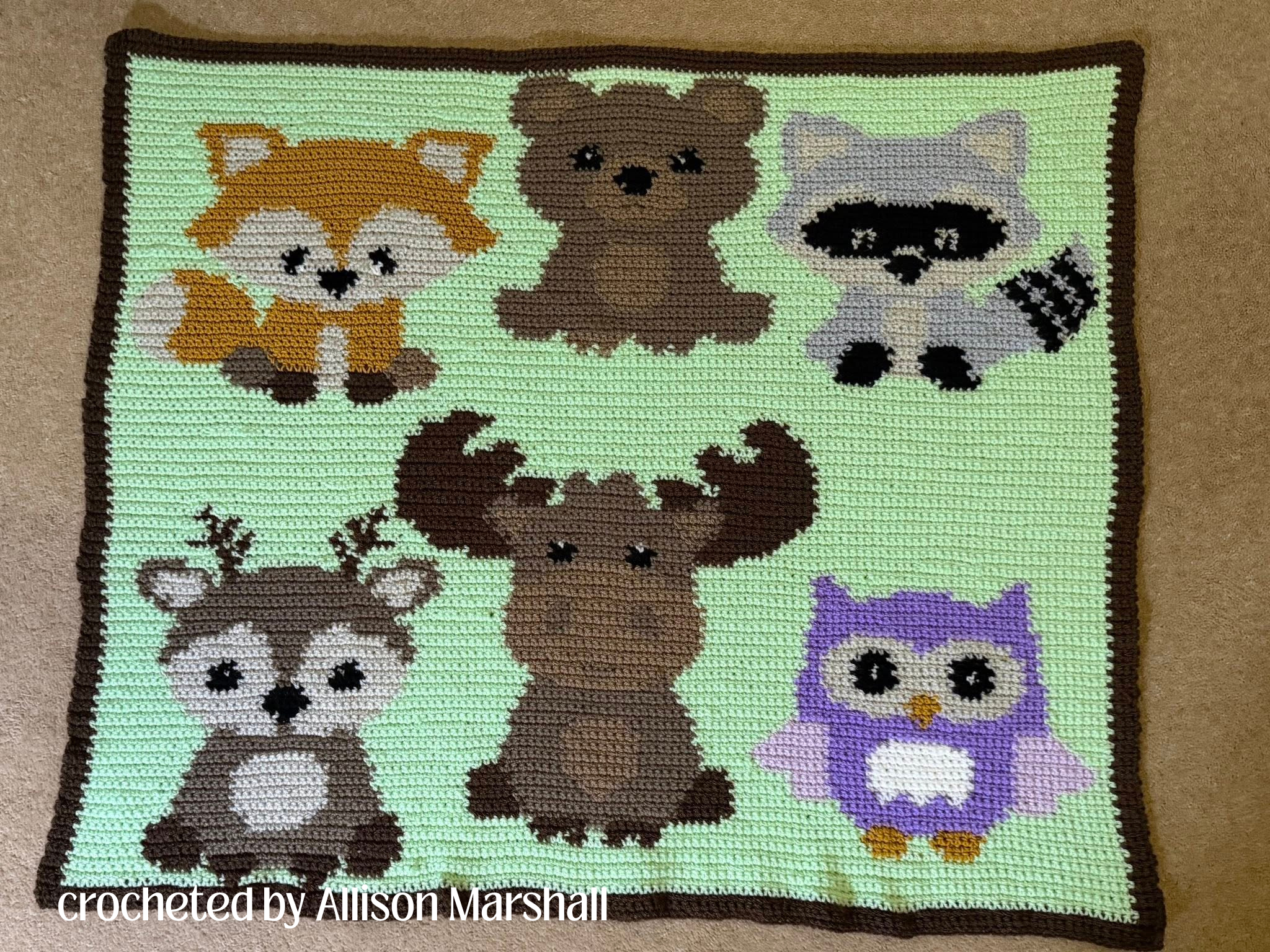 ps from Allison Marshall2.png