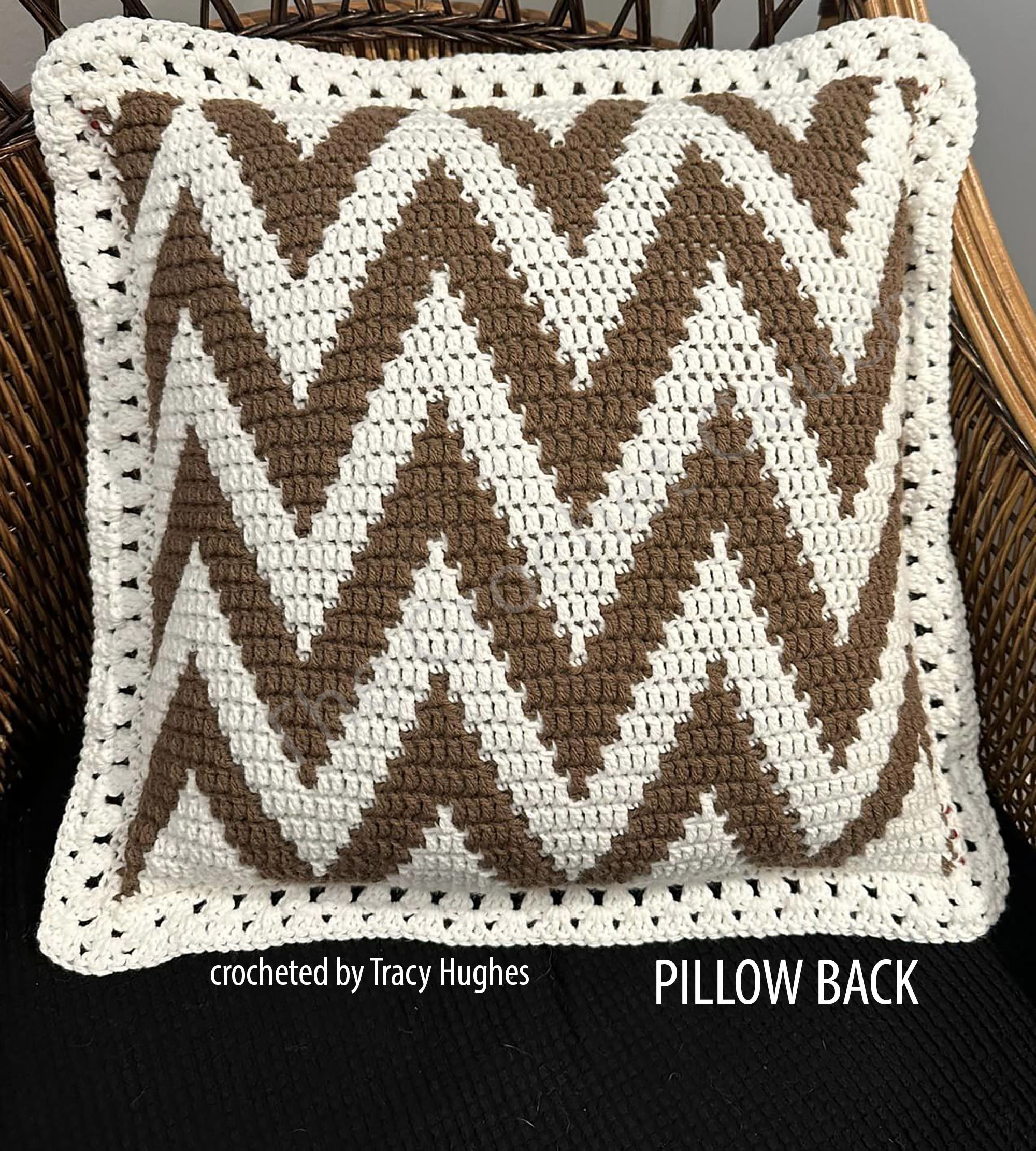 PS from Tracy Hughes back copy.jpg