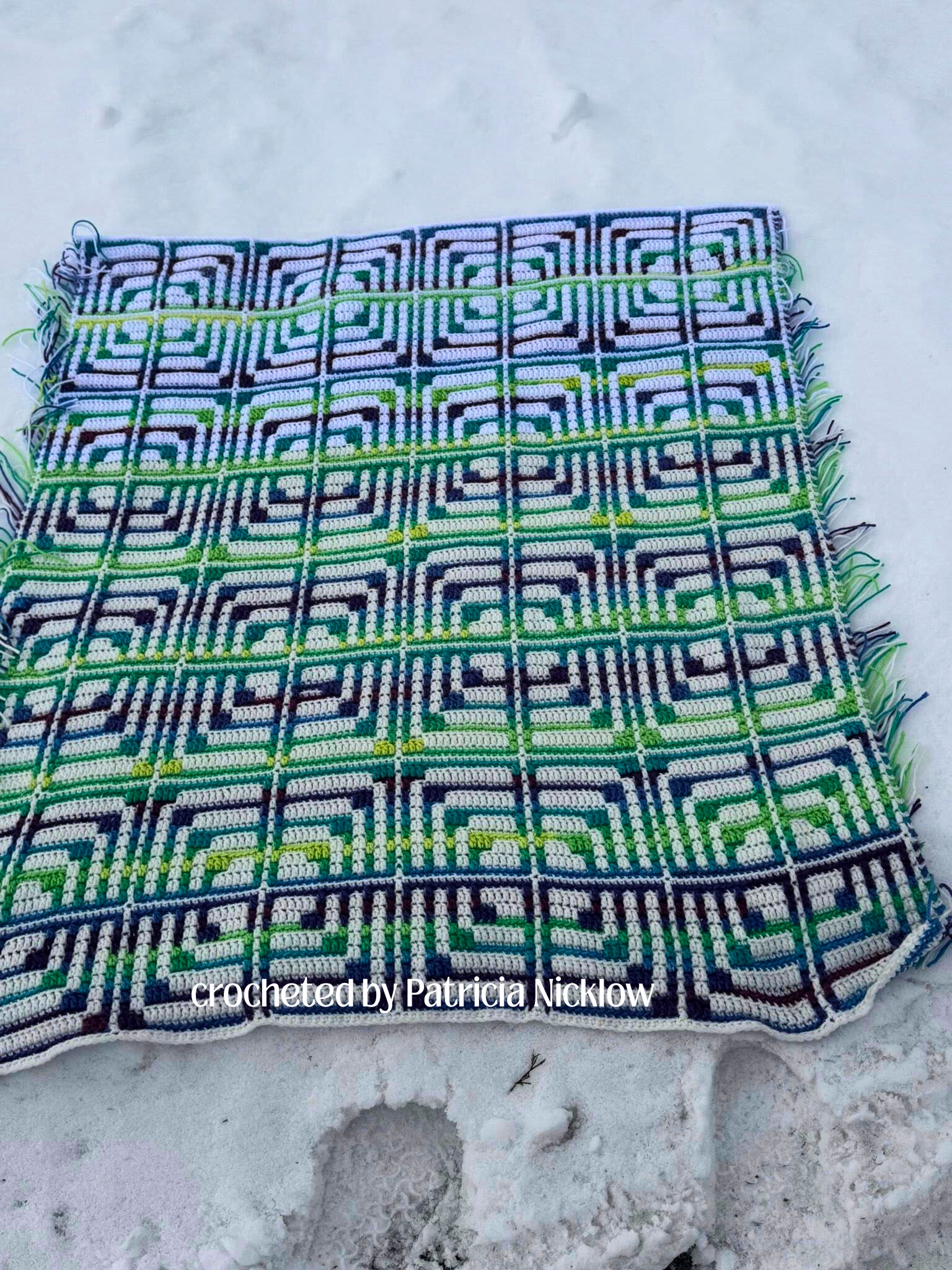 ps from Patricia Nicklow.png