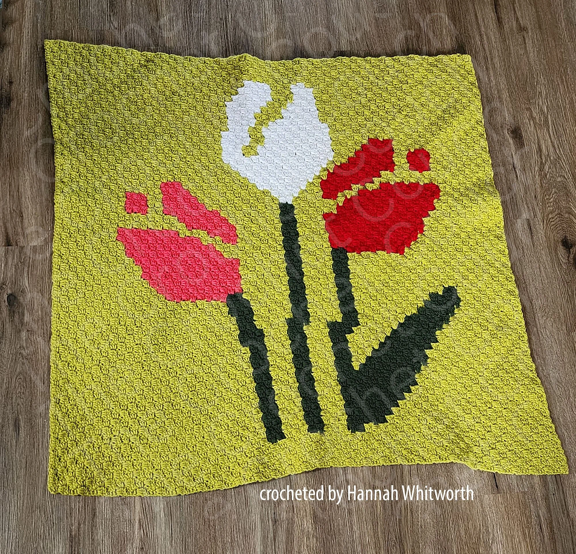 ps from Hannah Whitworth copy.jpg