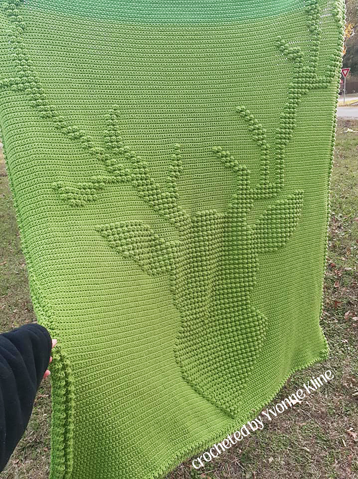 ps from Yvonne Kline2.png